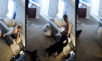 Movie : Morgendlicher Kettenreaktor