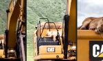 Lustiges Video : CAT Bagger macht Namen alle Ehre