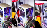 Familienbetrieb der Greifautomaten-Hacker
