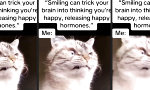 Fake your way to Happiness
