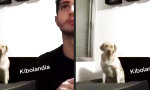 Funny Video : Kannst du mich endlich mal alleine lassen?!