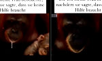 Movie : Beziehungen, in denen man einfach machen lässt