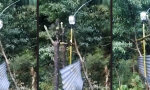Lustiges Video : Klangliche Grüße an die Nachbarn