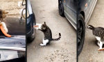 Funny Video - Hier geht’s um’s Würstchen
