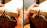Funny Video : Wo wir hingehen..