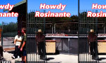 Skateboard-Cowboy sucht Hengst