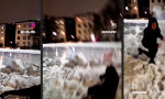 Lustiges Video - Feuerwerk schlägt zurück