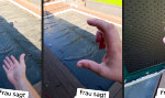 Pool bauen in Deutschland