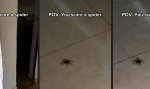 Movie : Jumpscare in die andere Richtung
