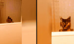 Funny Video : Rendering: Milchglas