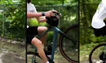 Die Hecke nimmt jeden