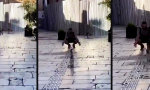 Movie : Streicheltermine nach Fahrplan