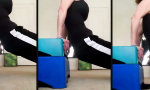 Funny Video : Der Personal Trainer hat vier Pfoten