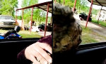 Lustiges Video : Sitzenbleiben als Stilfrage
