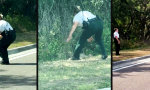 Funny Video : Die Schildkröte kennt das Ziel besser
