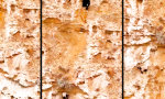 Movie : Was ein Tier wert ist, entscheidet die Wand