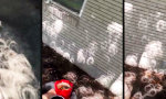 Movie : Barfuß durch ein optisches Experiment