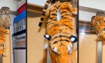 Movie : Den Stofftiger erbeutet
