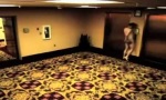 Funny Video - Ein Albtraum wird wahr