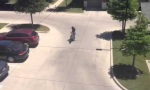 Movie : Tierischer Wheelie