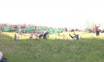 Lustiges Video : Cheeserolling 2013