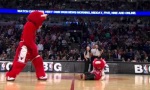 Lustiges Video : Benny the Bull